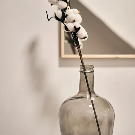 Apartamento Cotton Cruz